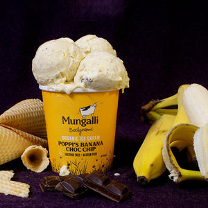 有機 JAS オーガニック ナチュラル アイスクリーム バナナ チョコチップ オーストラリア産 (475ml) ホライズンファームズ