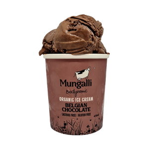 有機 JAS オーガニック ナチュラル アイスクリーム ベルギー チョコレート オーストラリア産 (475ml) ホライズンファームズ